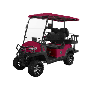 z-series